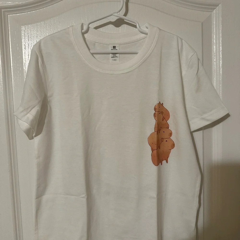 ⚡️NWT Cute Capybara Tote ,T-Shirt Set and capybara keychain